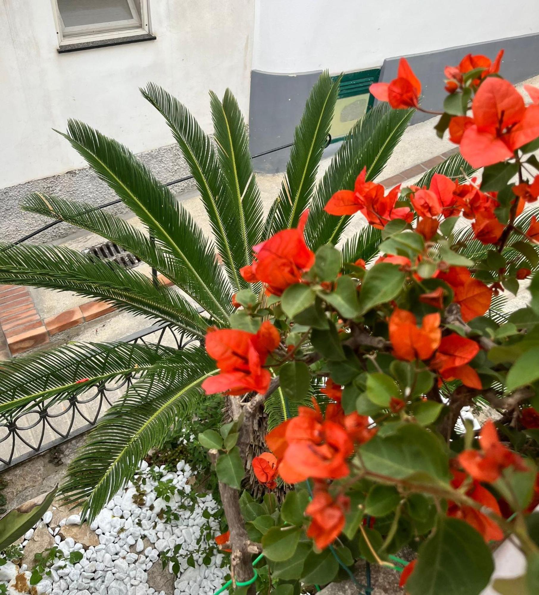 Alle Stelle B&B Anacapri  Extérieur photo