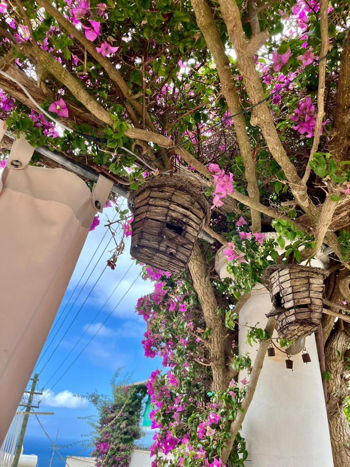 Alle Stelle B&B Anacapri  Extérieur photo