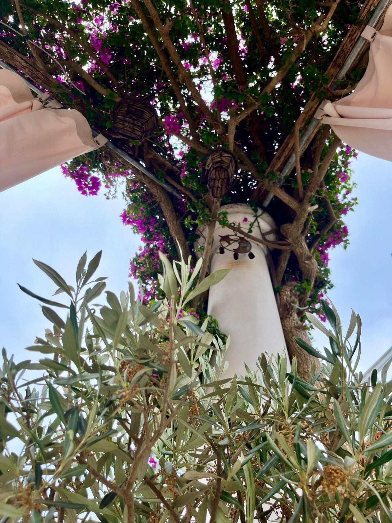 Alle Stelle B&B Anacapri  Extérieur photo